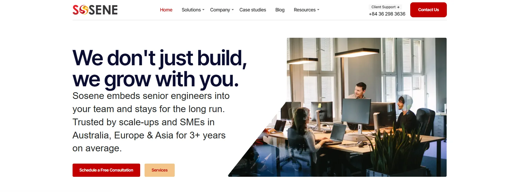 it staff augmentation for startups in vietnam - sosene